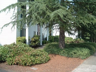 Building Photo - Jamestowne Plaza
