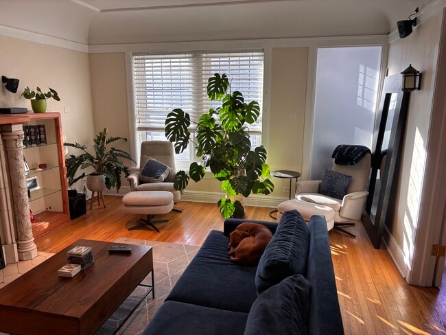 Living Room - 642 W Bittersweet Pl Apartment