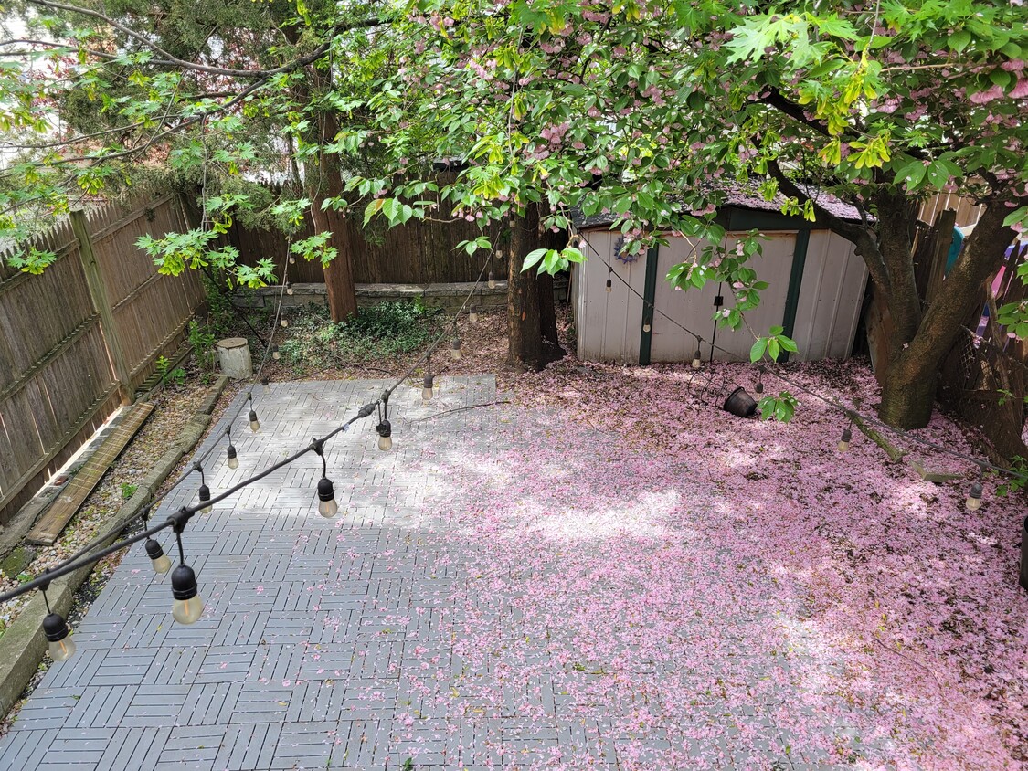Foto principal - 415 66th St