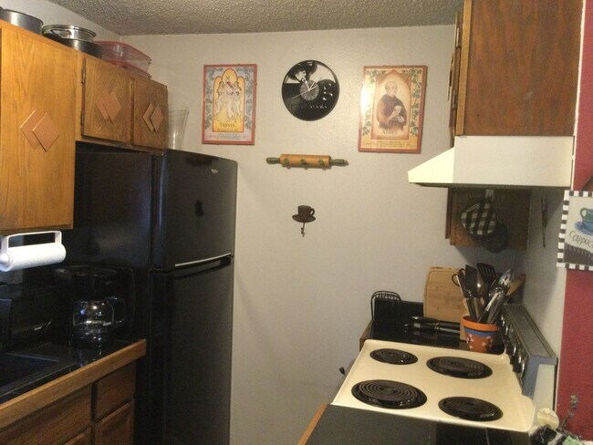 Building Photo - Furnished 2 bedroom Condo in Boulder walking distance to CU.