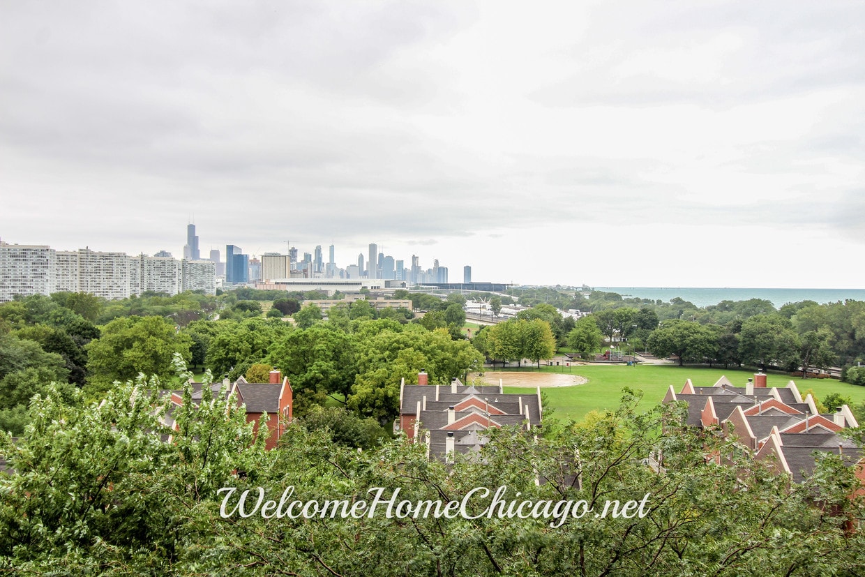 Living Room View - 601 E 32nd St