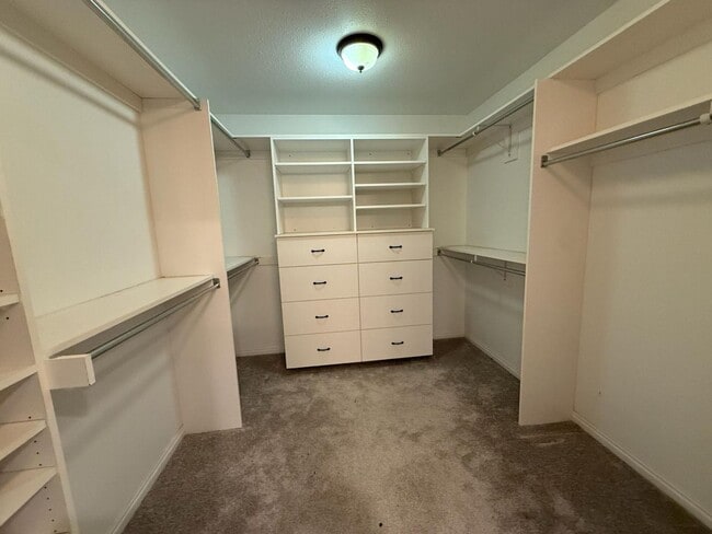 Building Photo - 3849 Bingham Creek Dr