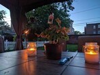 Foto principal - 14918 Clifton Blvd