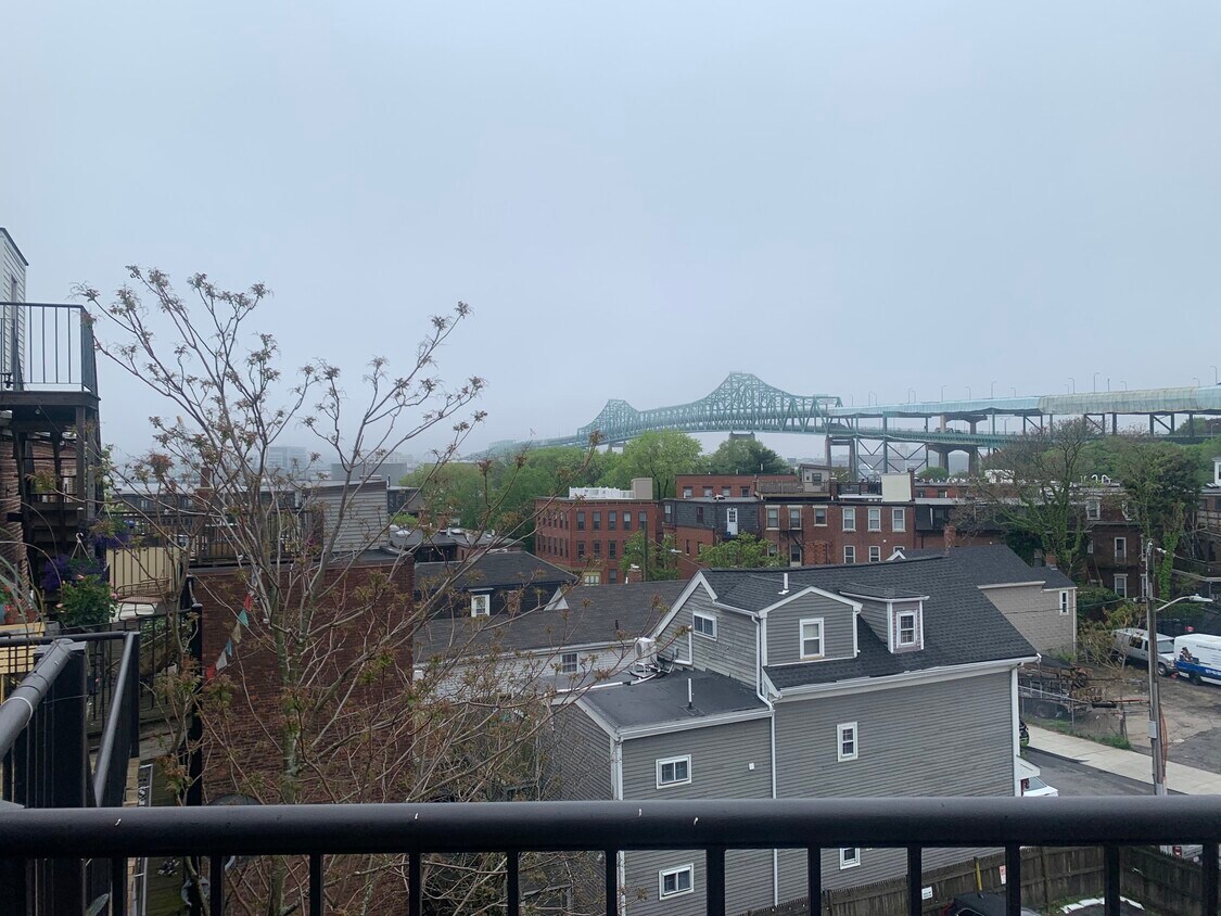 VIews - 38 Williams St