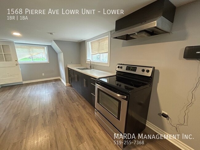 Photo du bâtiment - COZY 1 BED/ 1BATH BASEMENT UNIT - WALKERVILLE PLUS HYDRO!