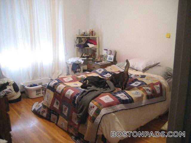 Foto del edificio - 50 Evergreen St