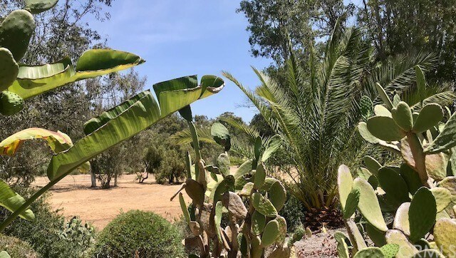 Foto del edificio - 6628 Lago Corte