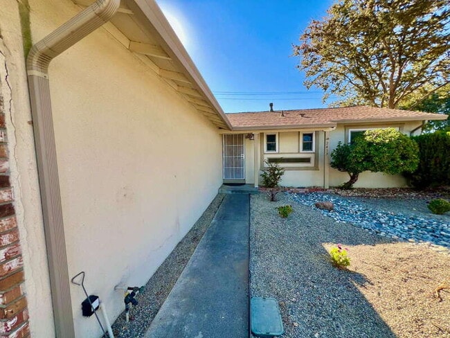 Building Photo - 2459 Gulf Dr