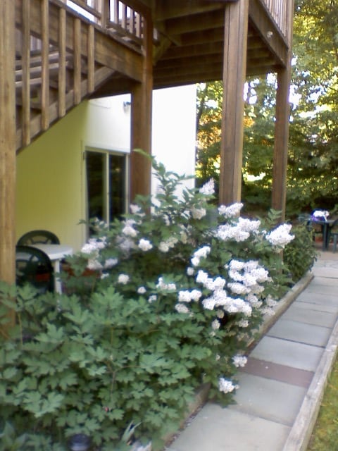 Building Photo - 89 Cranbury Dr