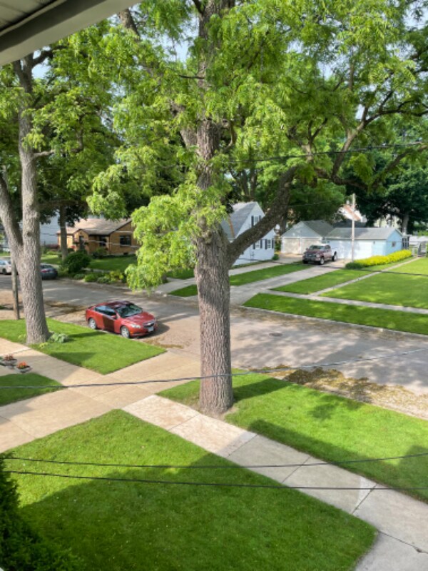 Building Photo - 923 Cedar Ave
