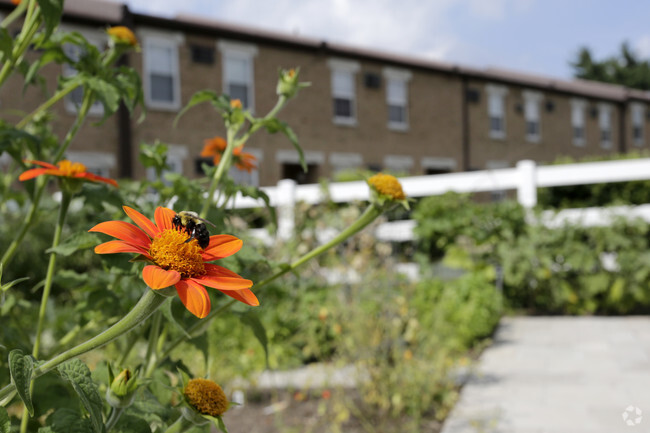 Community Garden - Cherrywood