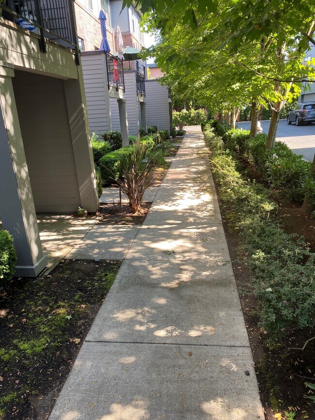 Pathway - 1420 NW 20th Ave