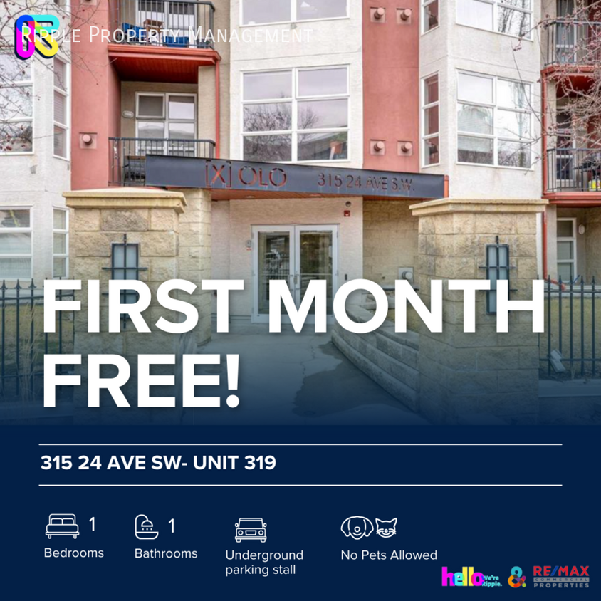 Primary Photo - FANTASTIC 1 BED/ 1 BATH CONDO