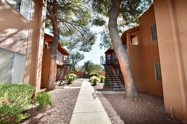 Foto del interior - Acacia Gardens