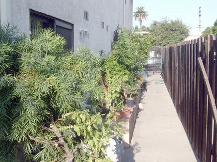 Foto del edificio - 1030 Western Ave