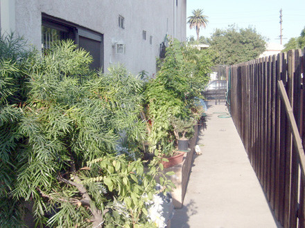 Building Photo - 1030 Western Ave