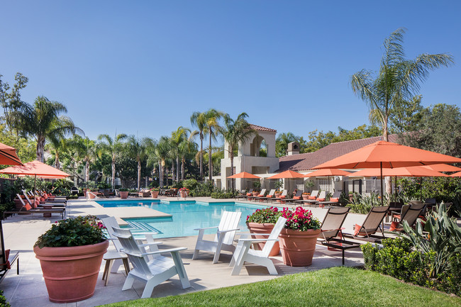 Building Photo - Aliso Town Center Apartment Homes