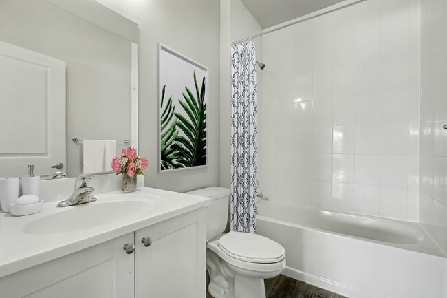 Building Photo - Cinque Apartments