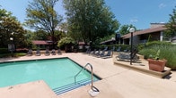 This amenity space features two distinct areas designed to support both relaxation and active living. The outdoor pool area centers around a generously sized swimming pool with clear blue-green water, accessible via a stainless steel entry rail. A wide concrete sun deck surrounds the pool and is lined with numerous lounge chairs, providing ample space for sunbathing and leisure. Mature trees border the area, offering natural shade and a lush, park-like backdrop, while globe-style light fixtures ensure usability into the evening hours. A fenced perimeter and adjacent building structures define the space.

The fitness center is a bright, well-appointed room finished in soft sage-green tones with large windows on multiple walls, flooding the space with natural light and offering views of the surrounding landscaping. The room is equipped with a variety of cardio machines, including treadmills, ellipticals, and a stationary bike, as well as a cable weight machine and a weight bench for strength training. Full-length mirrors enhance the sense of space, and patterned carpet flooring adds a clean, polished finish. A wall-mounted television provides entertainment during workouts.