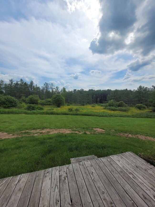 View from back deck - 384 White Store Rd