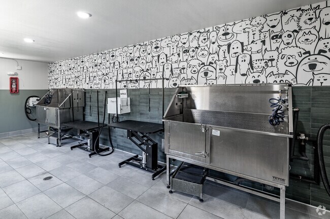 Lavado de mascotas - ARTÀ Apartments