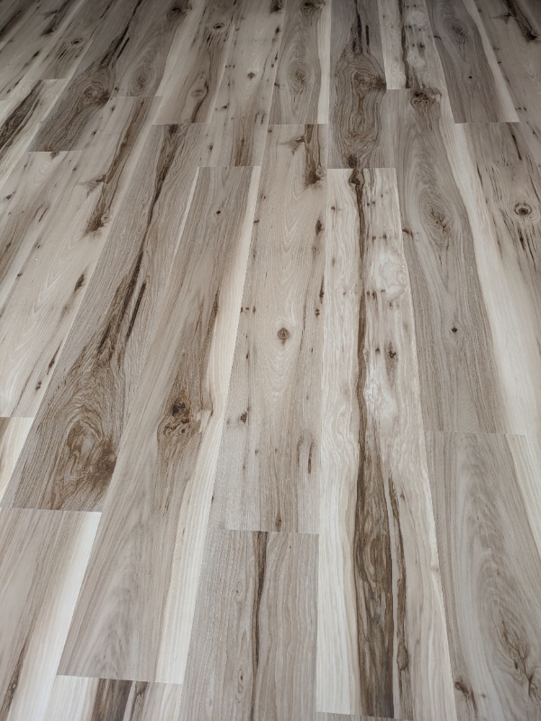 Building Photo - 361 Americana Dr