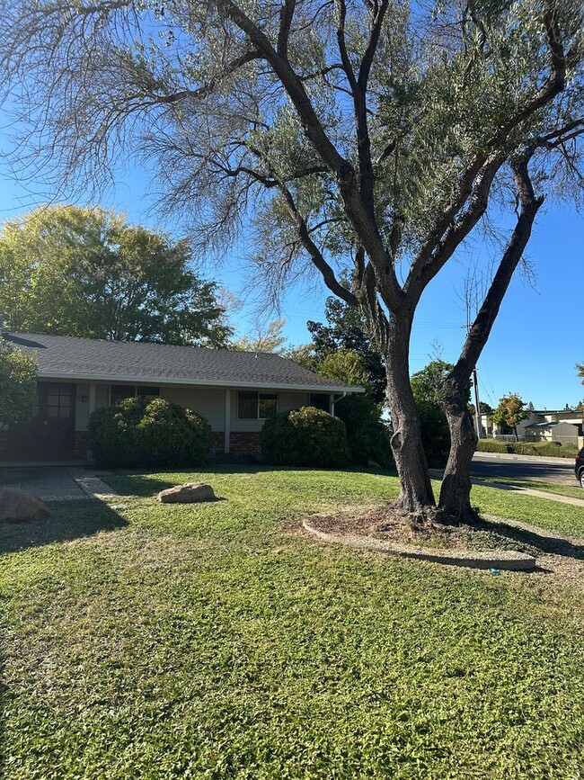 Foto del edificio - Beautiful home near the Almaden Country Club!