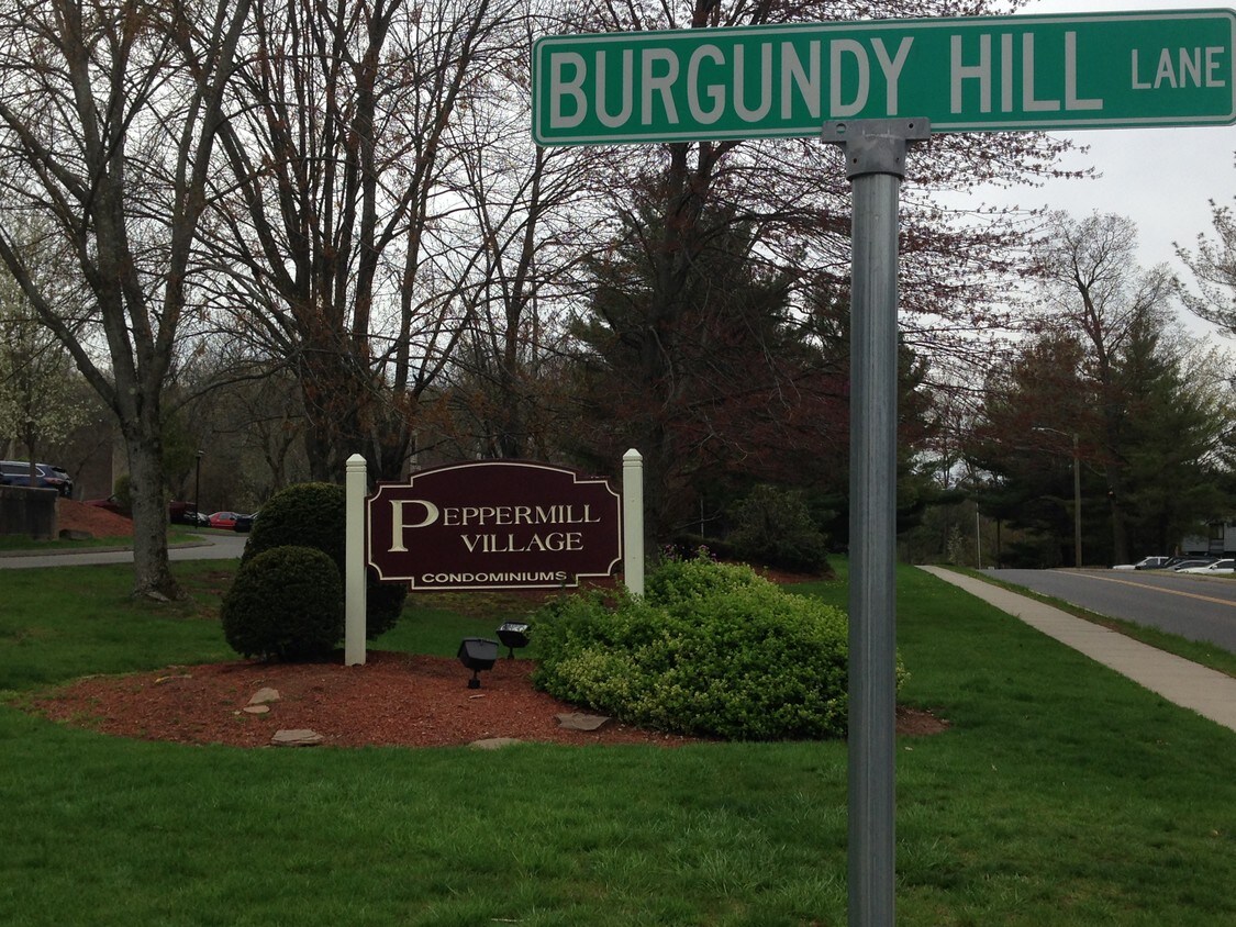 Foto principal - 197 Burgundy Hill Ln
