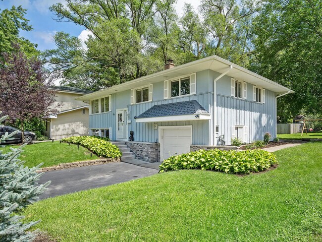 Building Photo - 230 Elmwood Dr