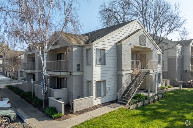 Building Photo - Lakeshore Apartments