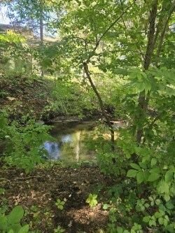 Foto del edificio - 4251 Mitchell Creek Dr