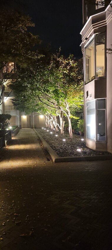 Courtyard - 2628 Ash St