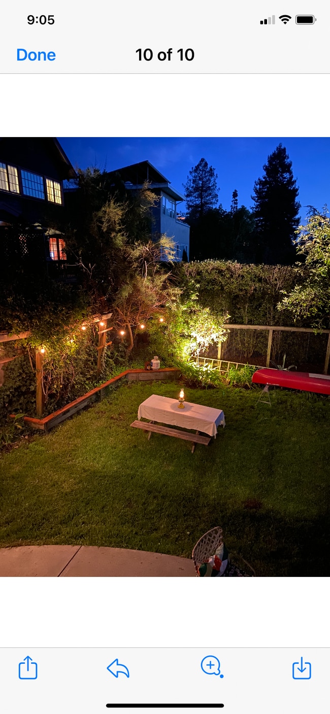 Backyard - 2240 Rose St