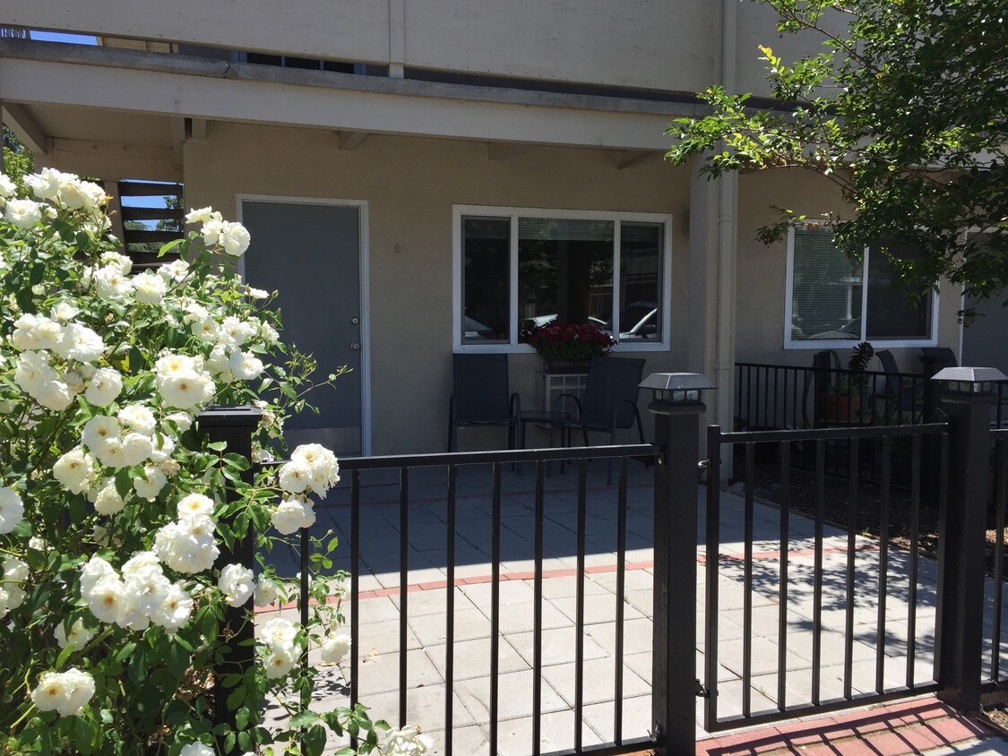 555 Dexter St Unit D, Santa Rosa, CA 95404 Apartment for Rent in