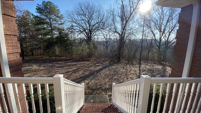 View from front porch of wooded area between house and road - 450 County Road 421