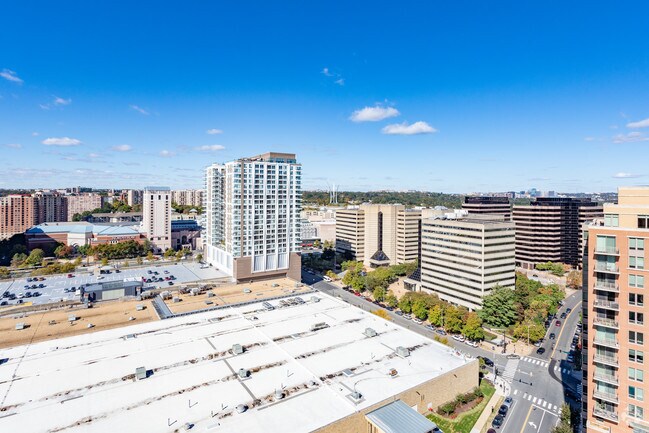 Vista - The Millennium