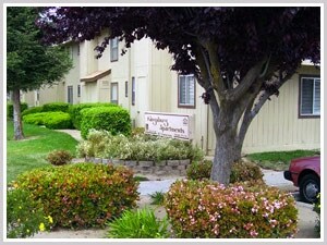 Primary Photo - Kingsburg Apartments