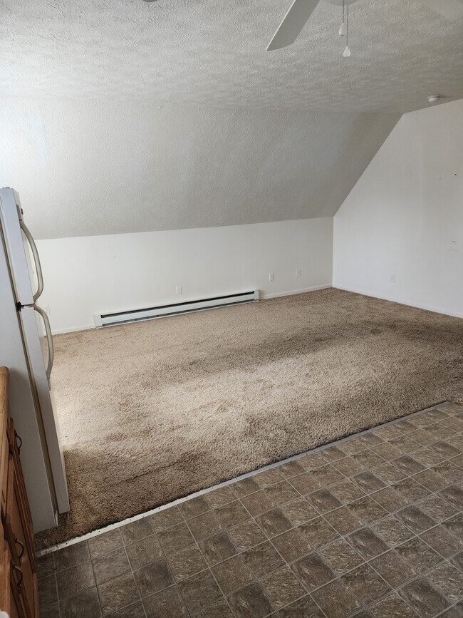 Living room - 211 E Pearl St