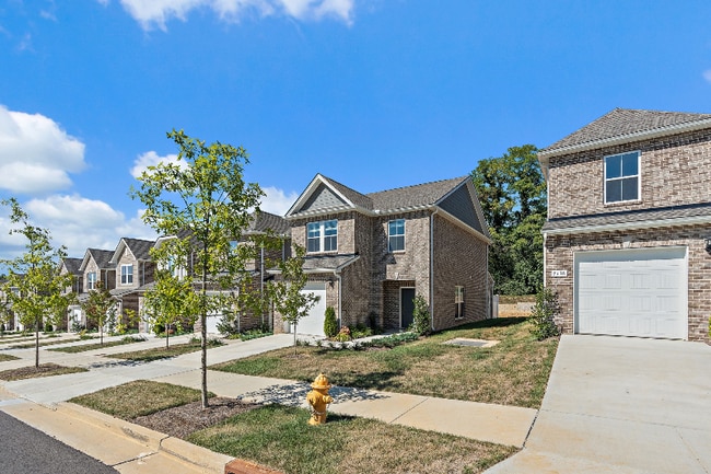 Building Photo - 7136 Mapleside Ln