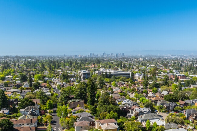 Downtown Oakland can be seen in the distance from the Elmwood neighborhood.