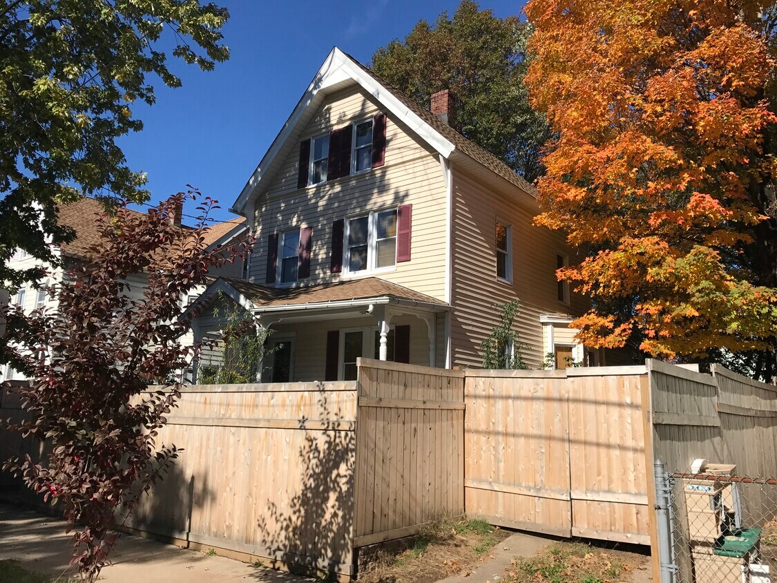 Primary Photo - 43 Dorman St