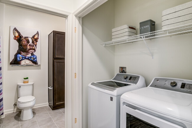 Building Photo - Allure Apollo