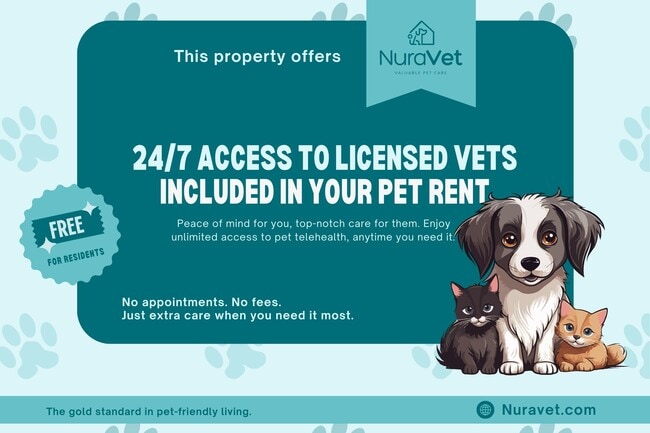 Pet Friendly - Little Creek Apartments