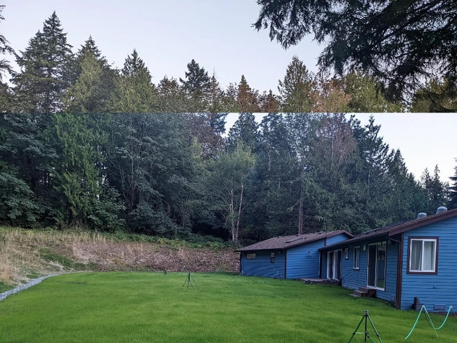 Building Photo - 19621 NE Redmond Rd