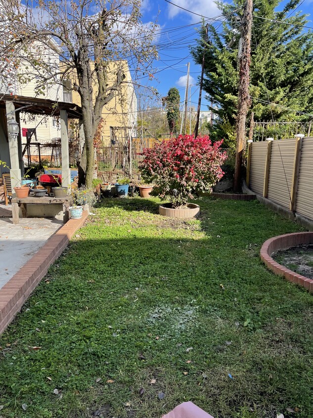 Shared yard - 457 Onderdonk Ave