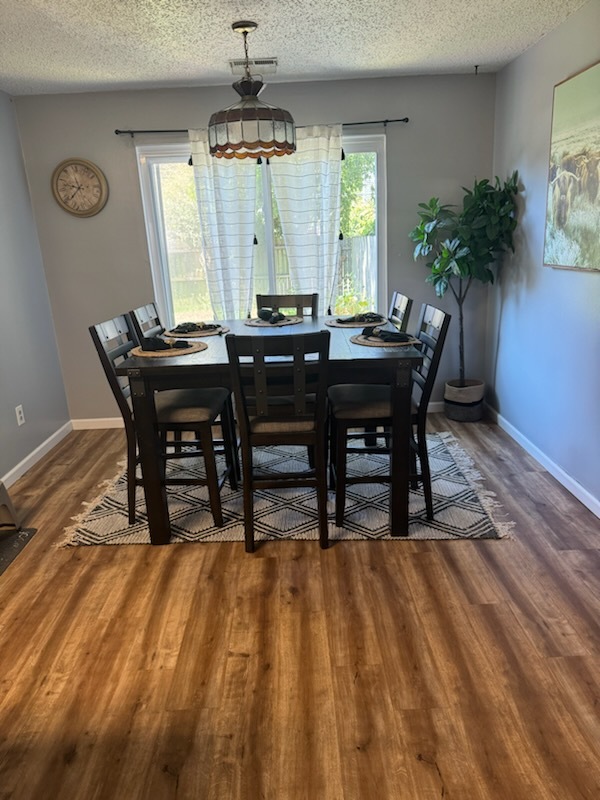 Living room - 2301 Merl Cir