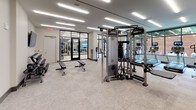 Located at 1441 U Street in Washington, DC, this modern fitness center is thoughtfully designed to support a comprehensive range of workout routines. The space is divided into distinct functional zones, each tailored to a specific type of training. The main gym floor features light-toned carpet tiles and is lined with a full row of cardio equipment, including treadmills and elliptical machines, each equipped with individual screens and positioned alongside large windows that allow natural light to flow in from the outdoors. Strength training is well-supported with a Life Fitness Synergy360 functional trainer, a heavy punching bag, and a selection of adjustable weight benches. A separate functional training studio is enclosed by sleek floor-to-ceiling glass partition walls with black-framed accents, creating a visually open yet defined space. Inside, TRX suspension trainers, medicine balls, slam balls, and kettlebells are neatly organized on dedicated storage racks. An adjoining studio features light hardwood-style flooring, wall-mounted mirrors with black frames, and expansive windows overlooking a landscaped outdoor area, making it ideal for yoga, stretching, or group fitness. Linear LED lighting throughout ensures consistent illumination across all zones. The overall aesthetic is clean, contemporary, and professional.