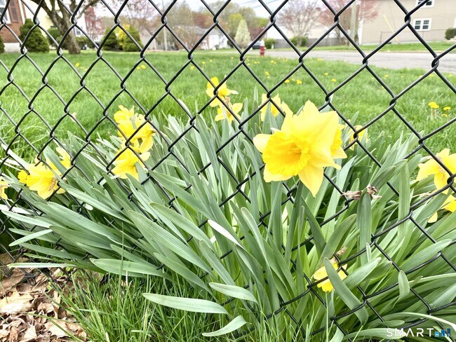 Foto del edificio - 119 Carroll St