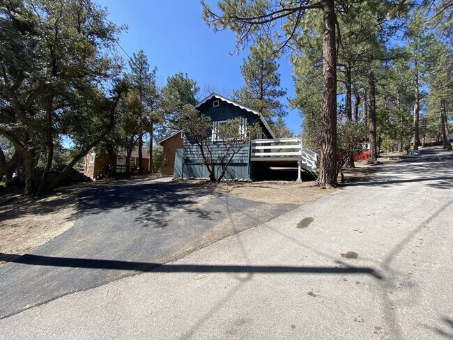 Building Photo - Studio Cabin in the Mountains