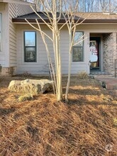 Building Photo - 1575 Ivy Trce
